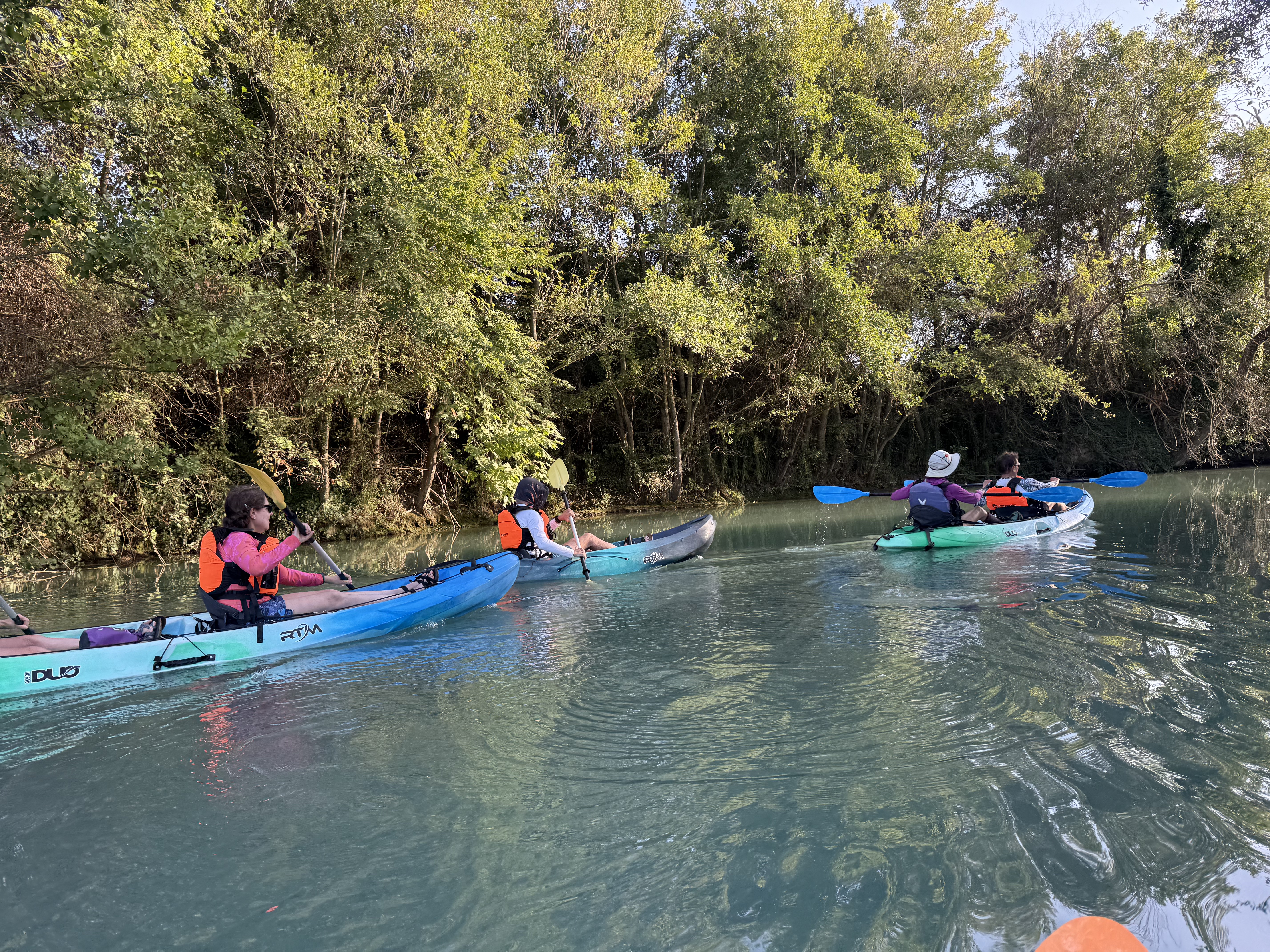 Dragonfly Kayak Nature Background
